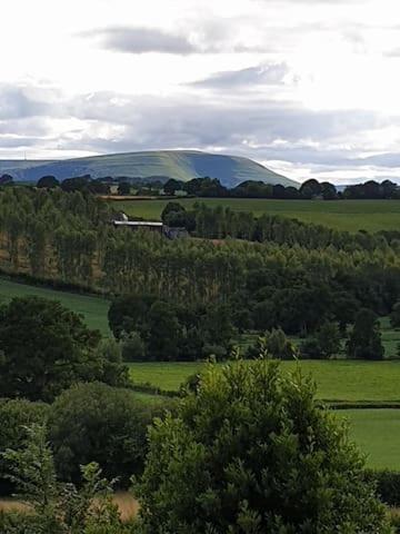 Willow Lodge Abergavenny Εξωτερικό φωτογραφία
